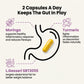 Leafora | Advanced Synbiotic for Gut Health & Daily Wellness
