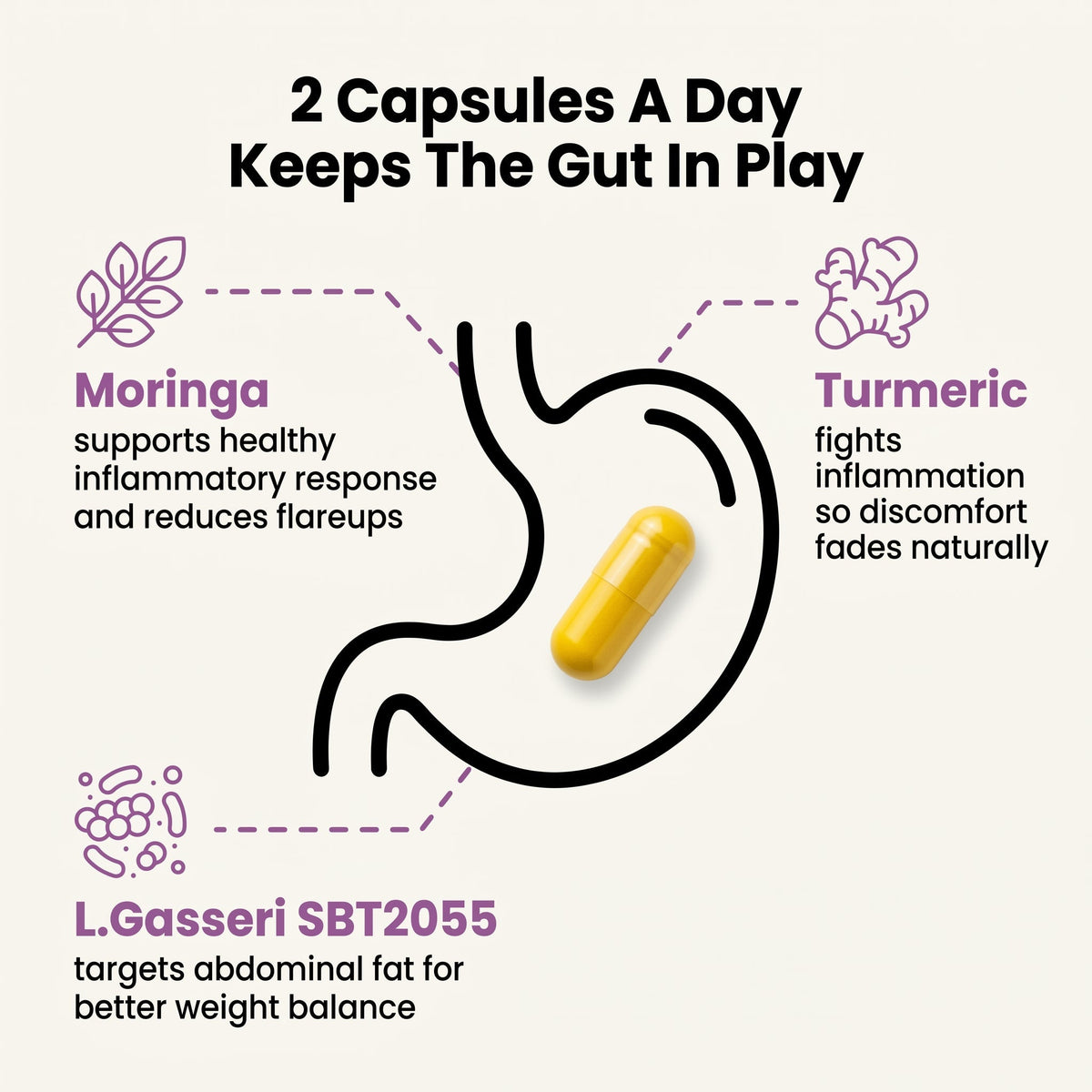 Leafora benefits infographic - probiotics prebiotics turmeric moringa for digestion energy weight management
